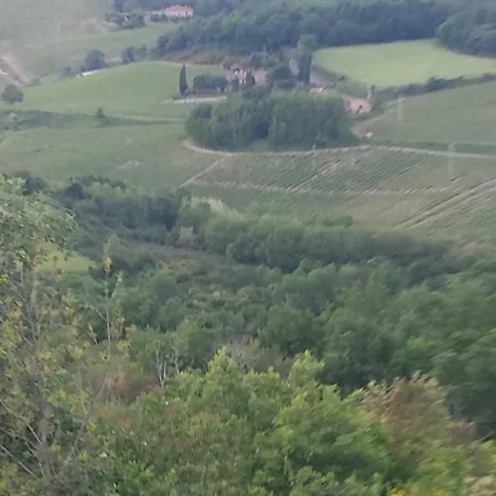 Frühstückspension Borgo Carpineto 3*